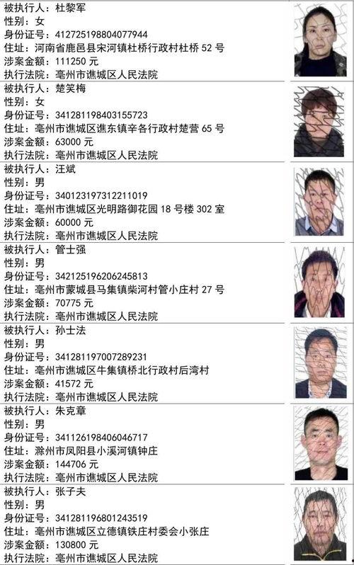 最新爆料主播名单公布视频,揭秘幕后风云，一睹行业风采